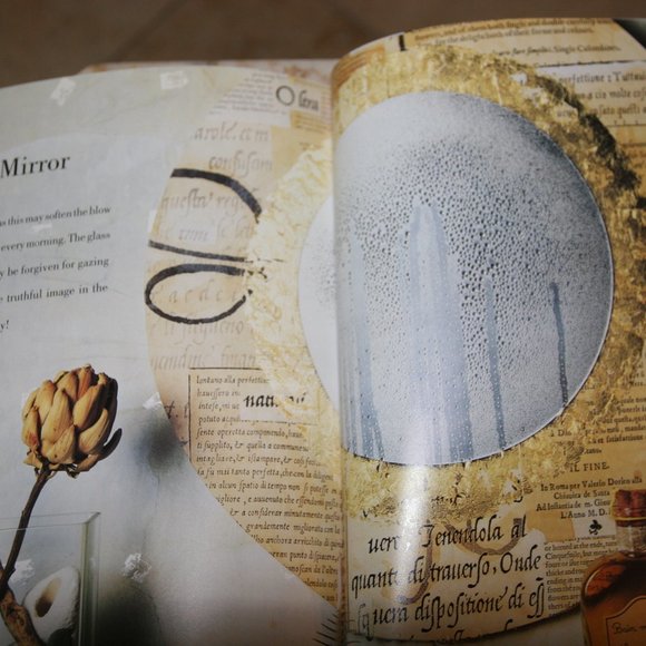 Softcover Unused "Decorative Paper" by Andrea Maflin - Picture 5 of 5